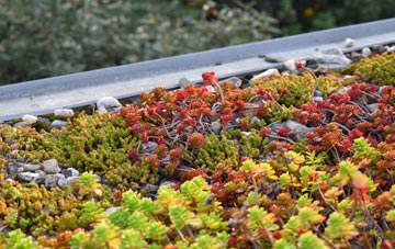 the cost of Cobblers Plain green roof installation