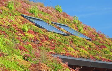 Cobblers Plain living roof systems
