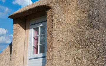 Cobblers Plain thatch roof disadvantages